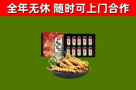 张家界市烟酒回收冬虫夏草礼盒.jpg