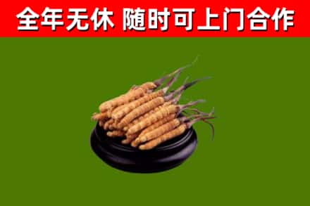 张家界市烟酒回收冬虫夏草.jpg