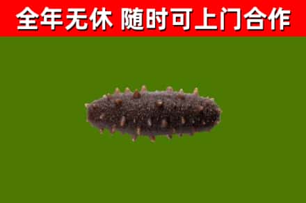 张家界市烟酒回收干海参.jpg